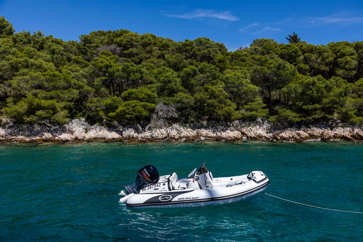 "MR. SI", a 2023 18.3m catamaran for sale, tender